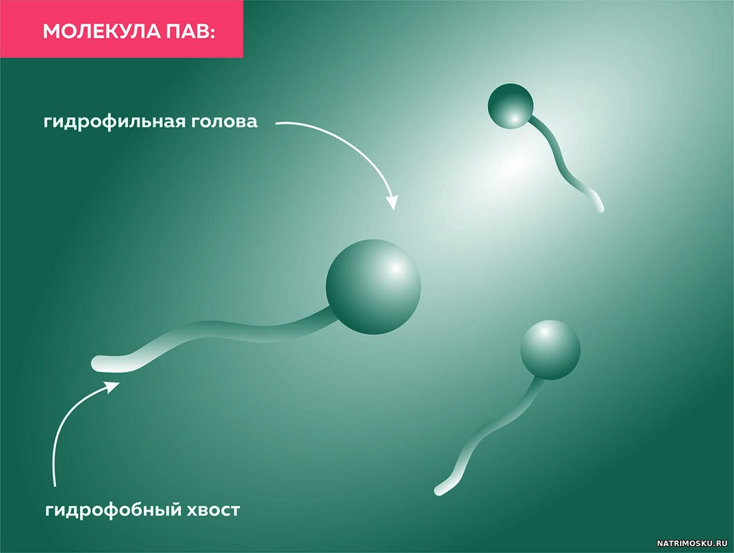 молекула ПАВ