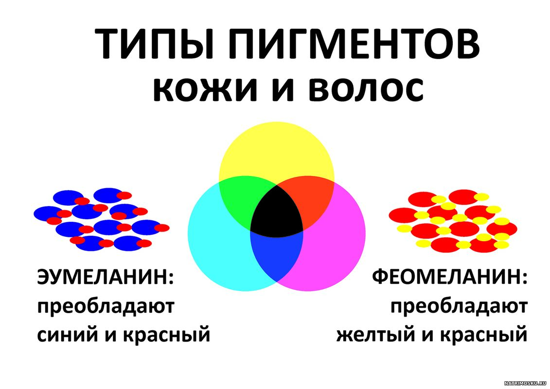 меланин: эумеланин и феомеланин